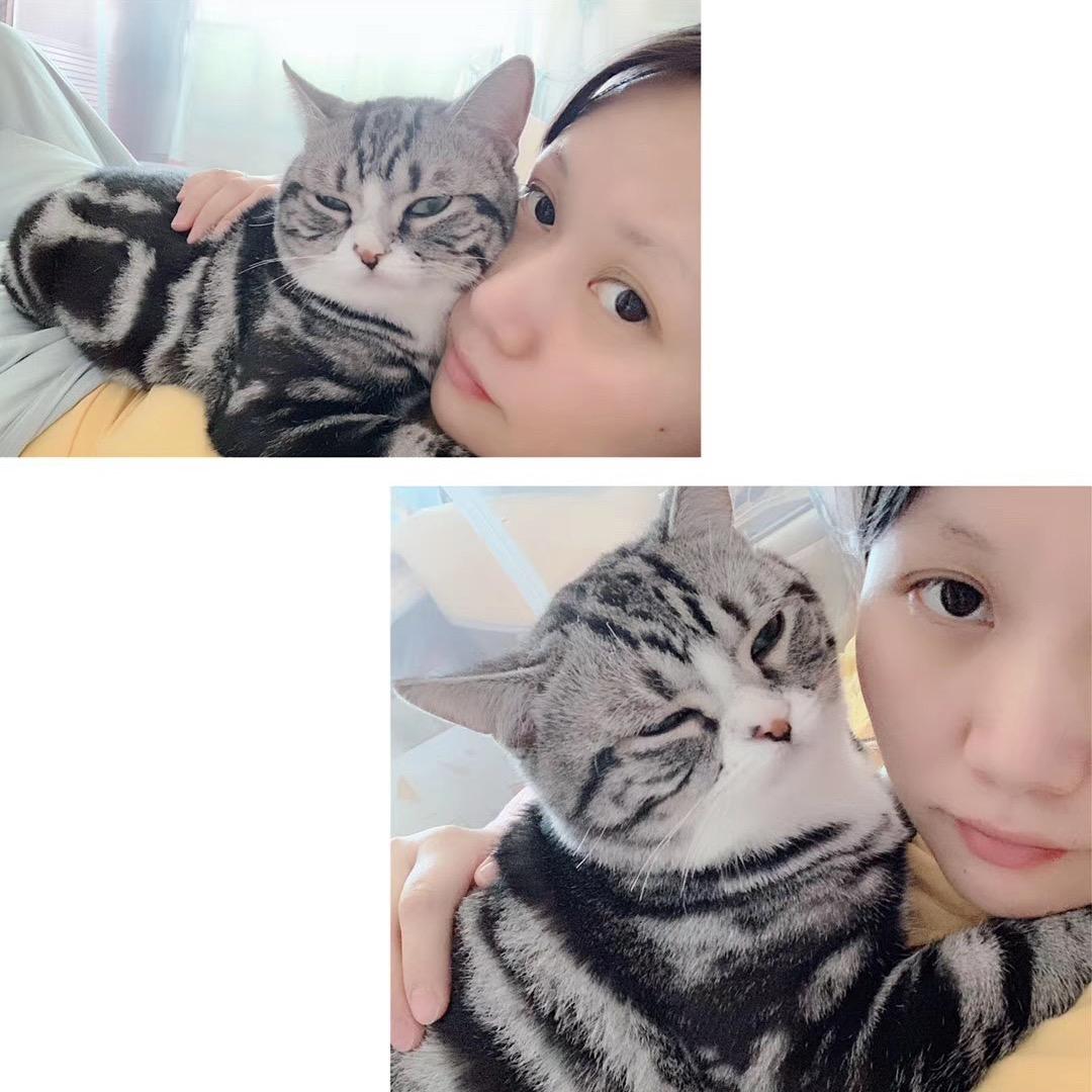 一闪一闪亮晶晶、