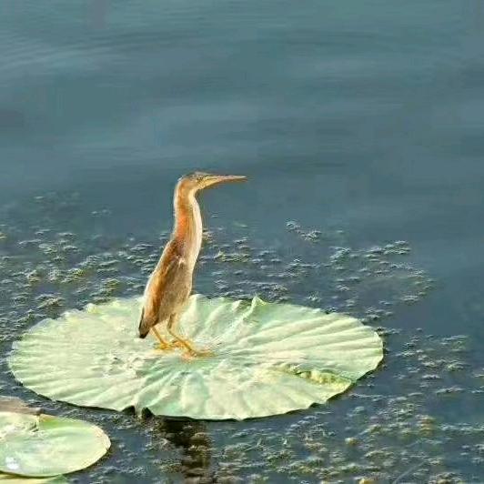 奋斗用户3512141115968