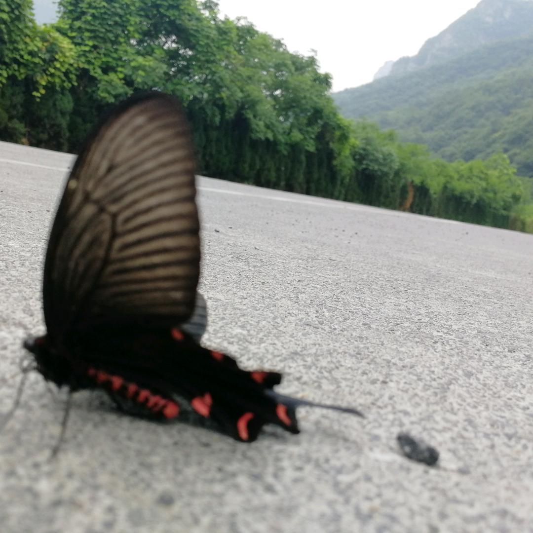 一切 随缘  用温柔的心   过自在的人