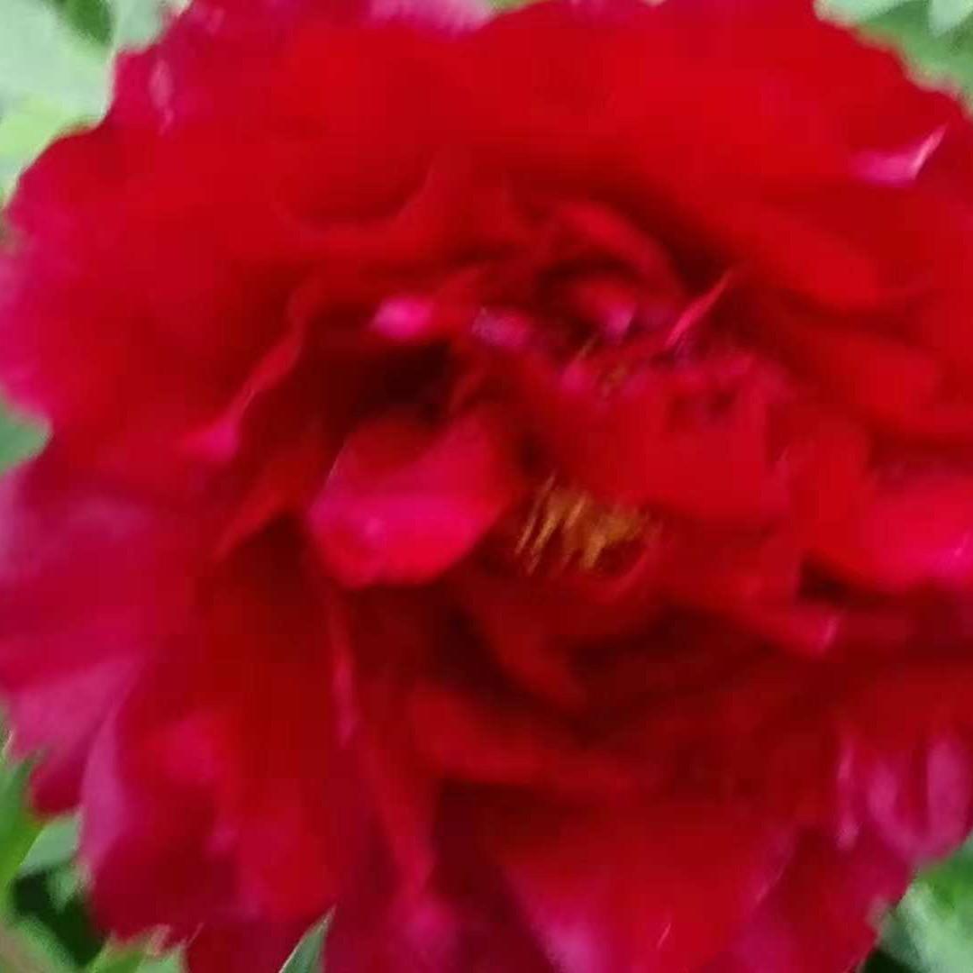 时光雕刻