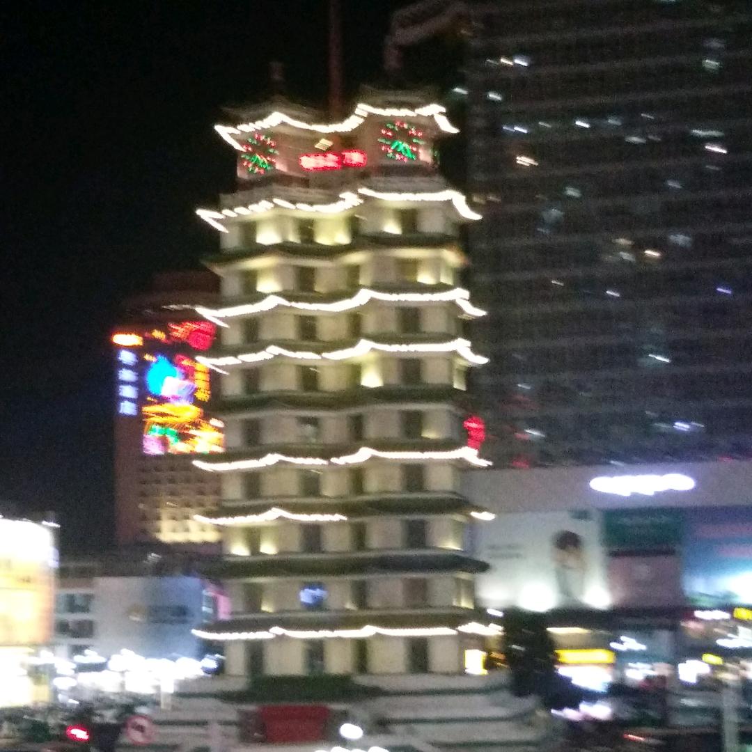 快乐的小猪