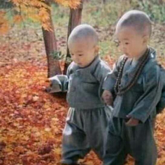 有缘相聚❤连❤（连赞拉黑）