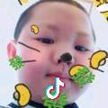 赤色的燕子