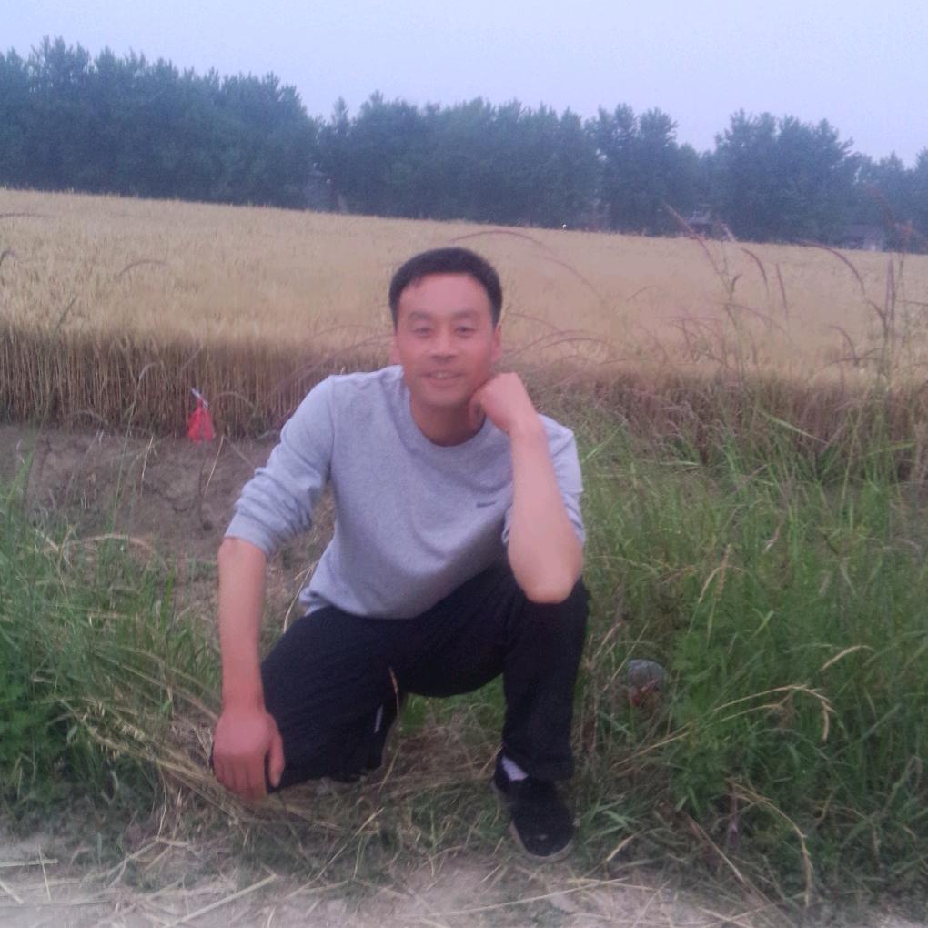 王师傅