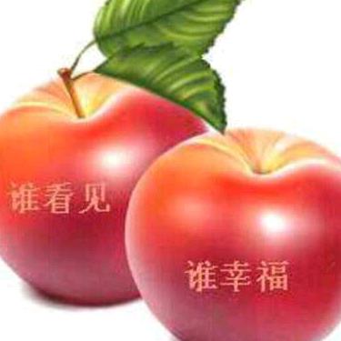 用户1039327663990
