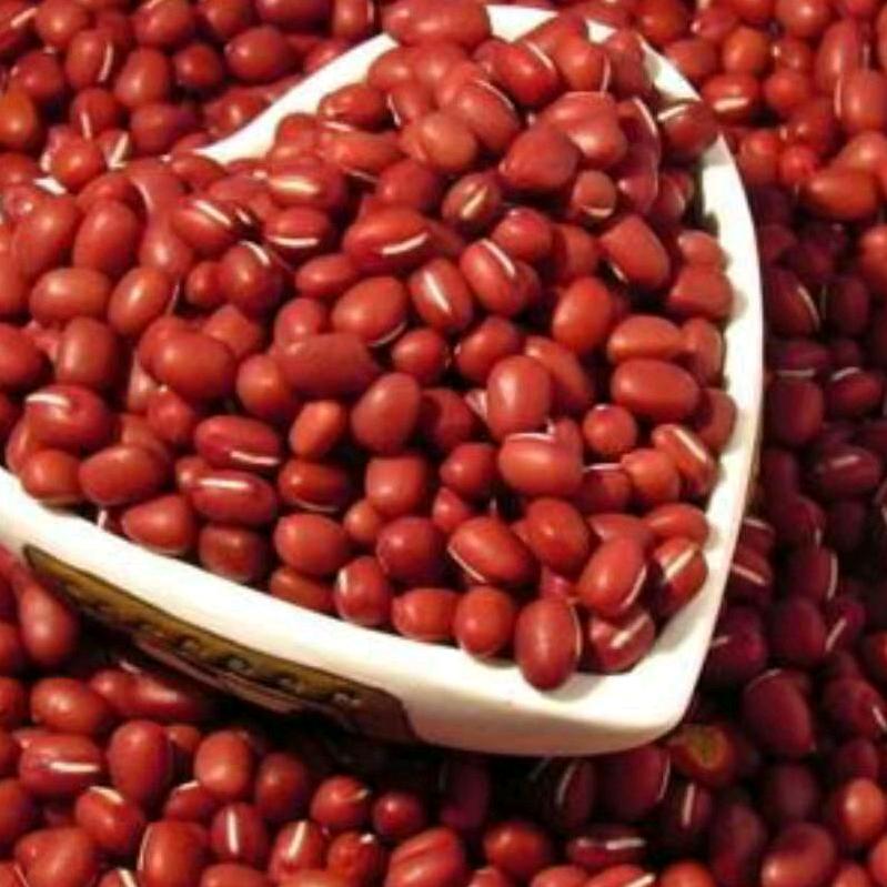 红豆