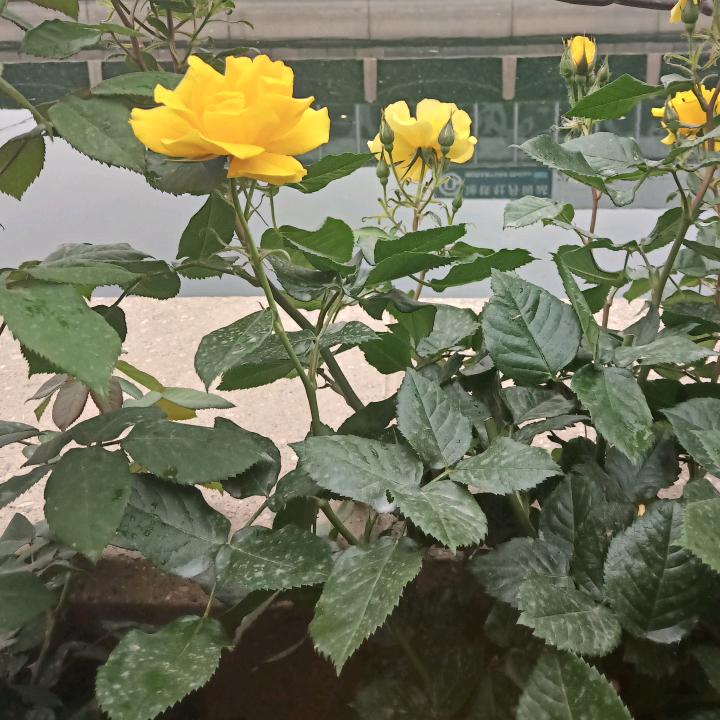 水滴