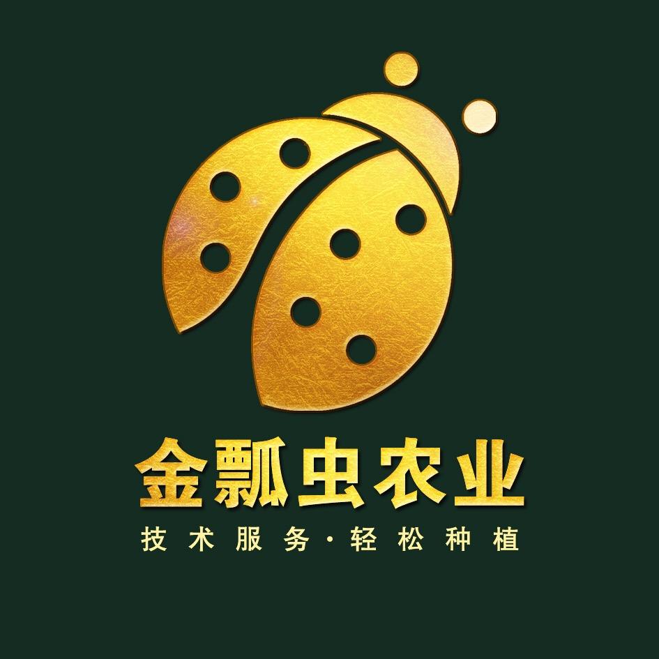 金瓢虫农业~尹超