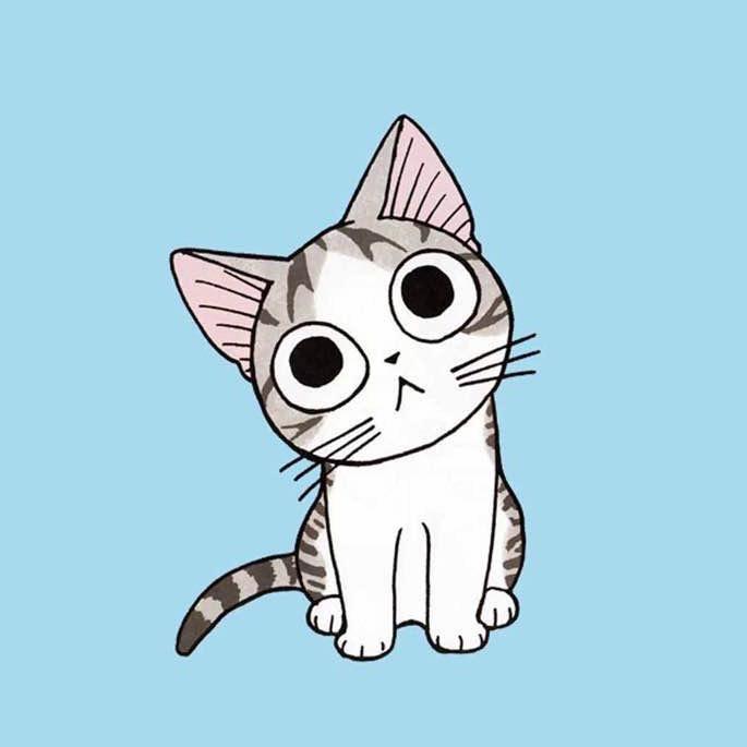 起 司 猫