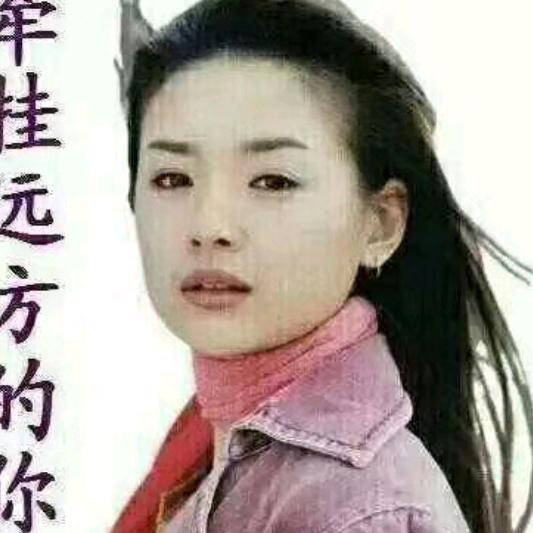 疯子的世界傻子才懂