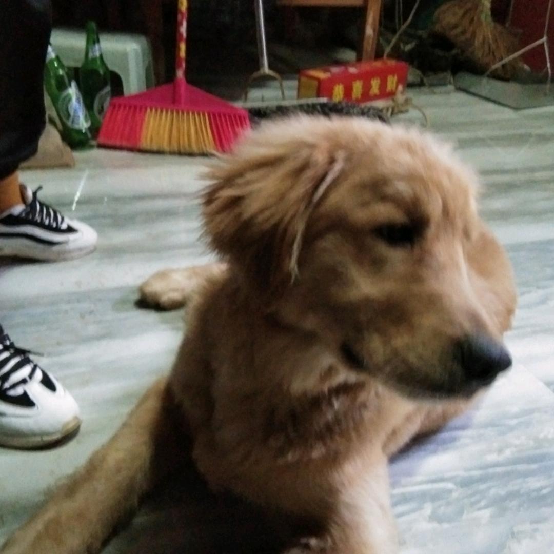 用户6600766769746