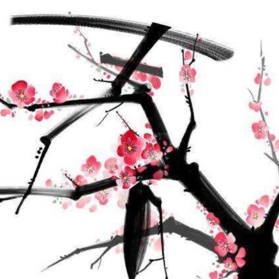 骑着毛驴打日本