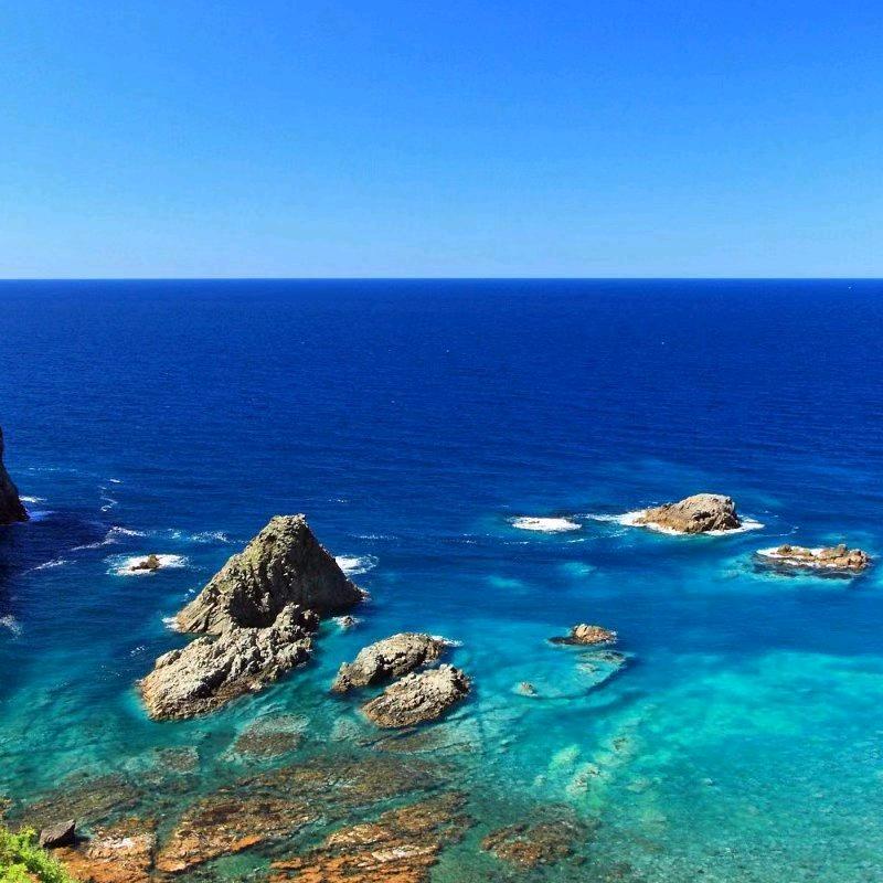 梅州沙田柚零售批发（桃尧叶子家庭农场）