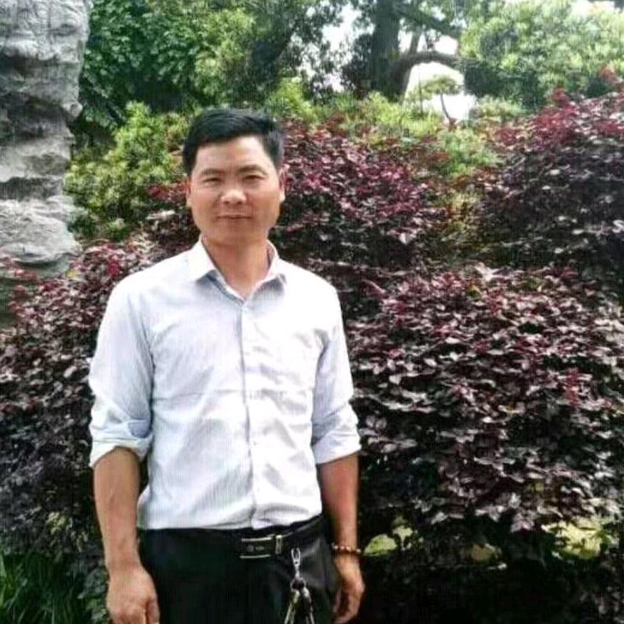 我的快乐就是种树