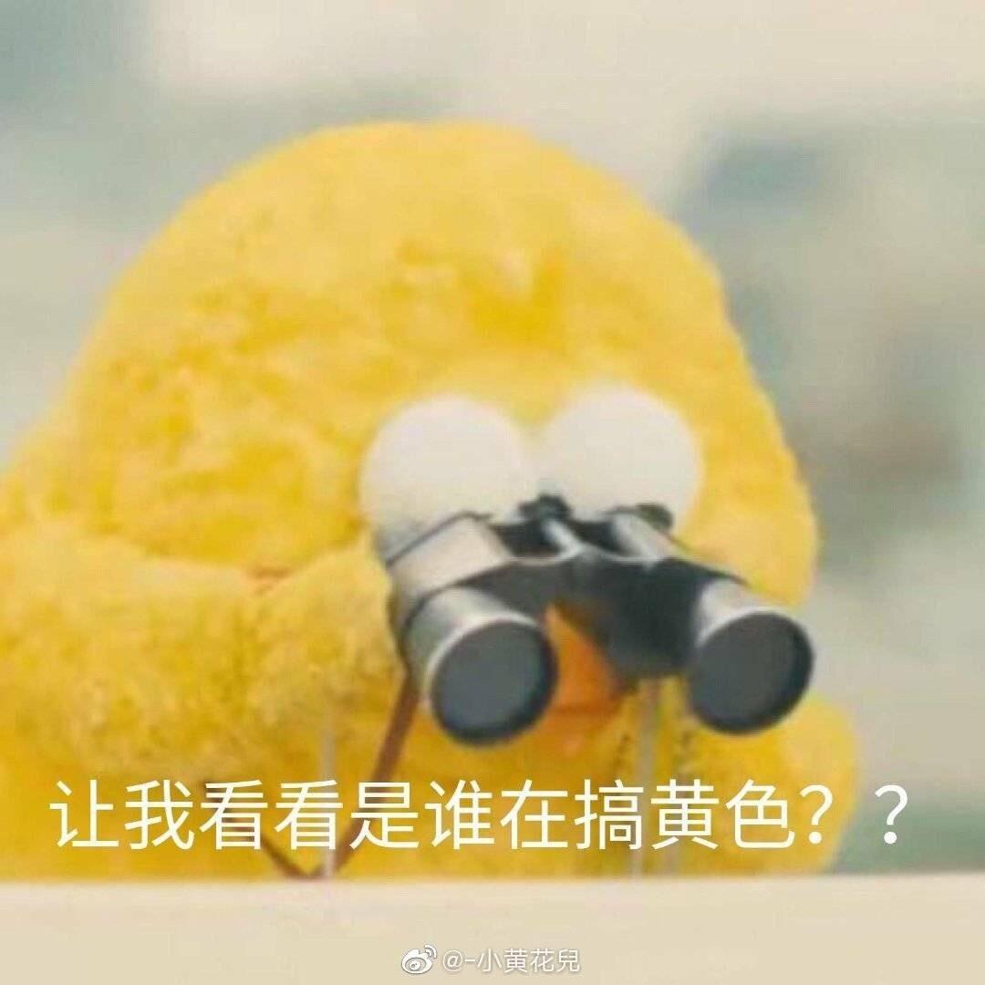 全世界最帅的人。