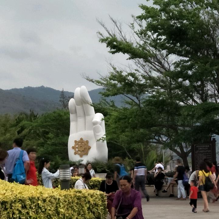 西柚