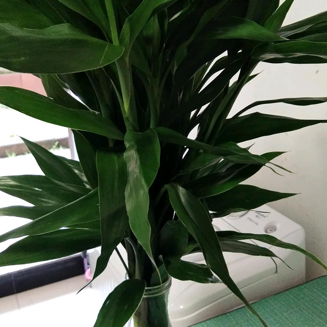 用户8028574092223我是快乐的