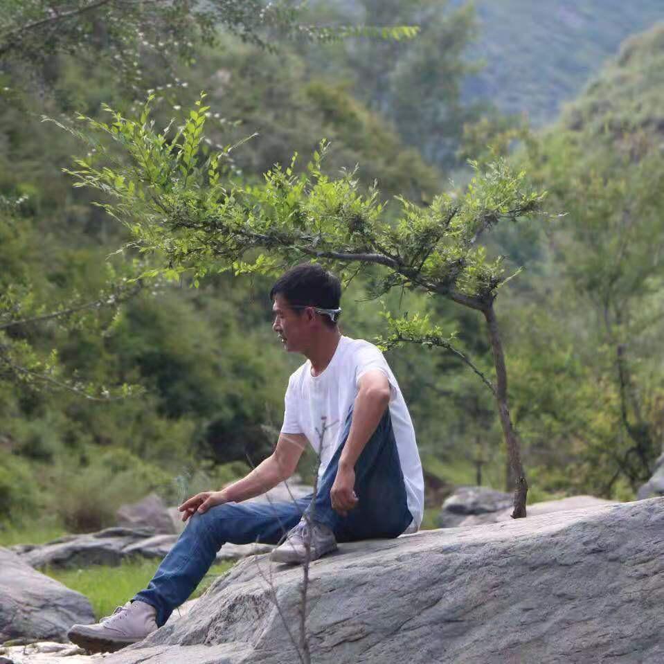 飞鱼自驾