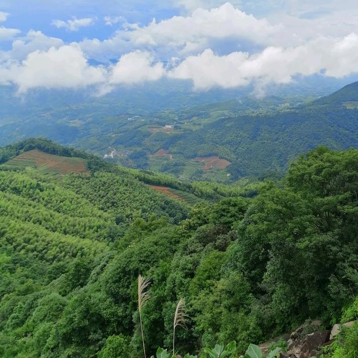 雄鹰94/12