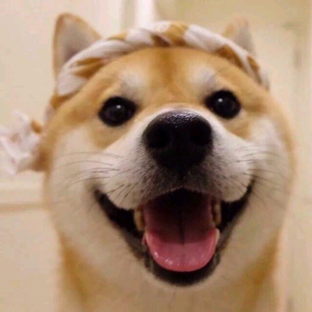 热心市民刘先生