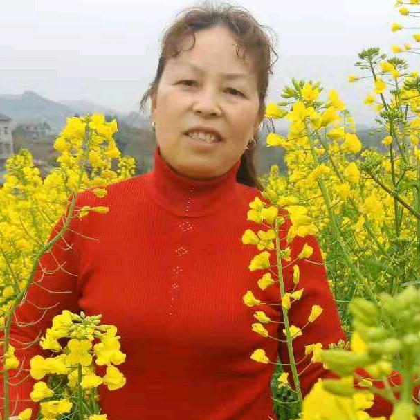 丽群容爱舞