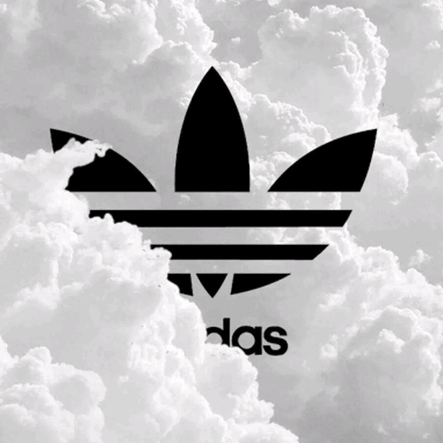 清风徐来 🍃