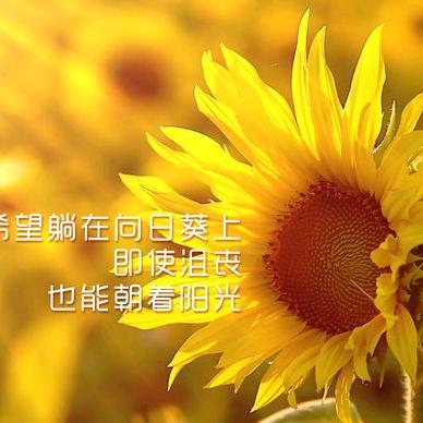 娜娜