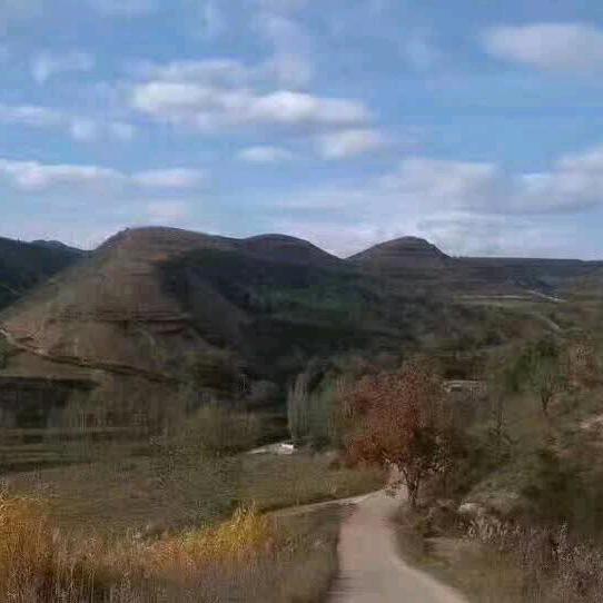 用户4159164304415