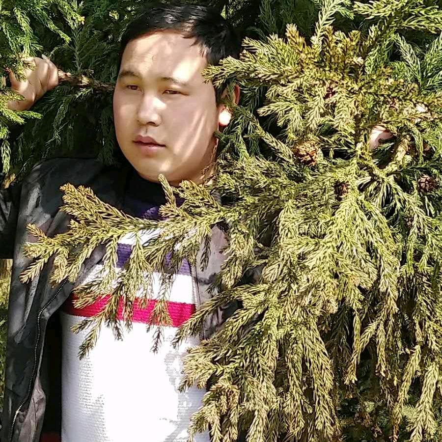 想你的日子