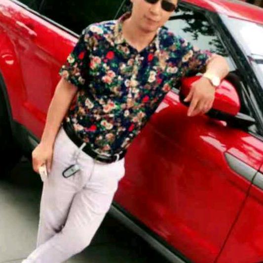 王府大酒店之苍狼