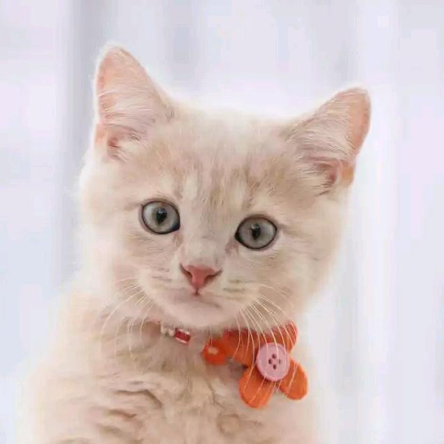 zj冰洁990608橱窗🈶️好物]—勿