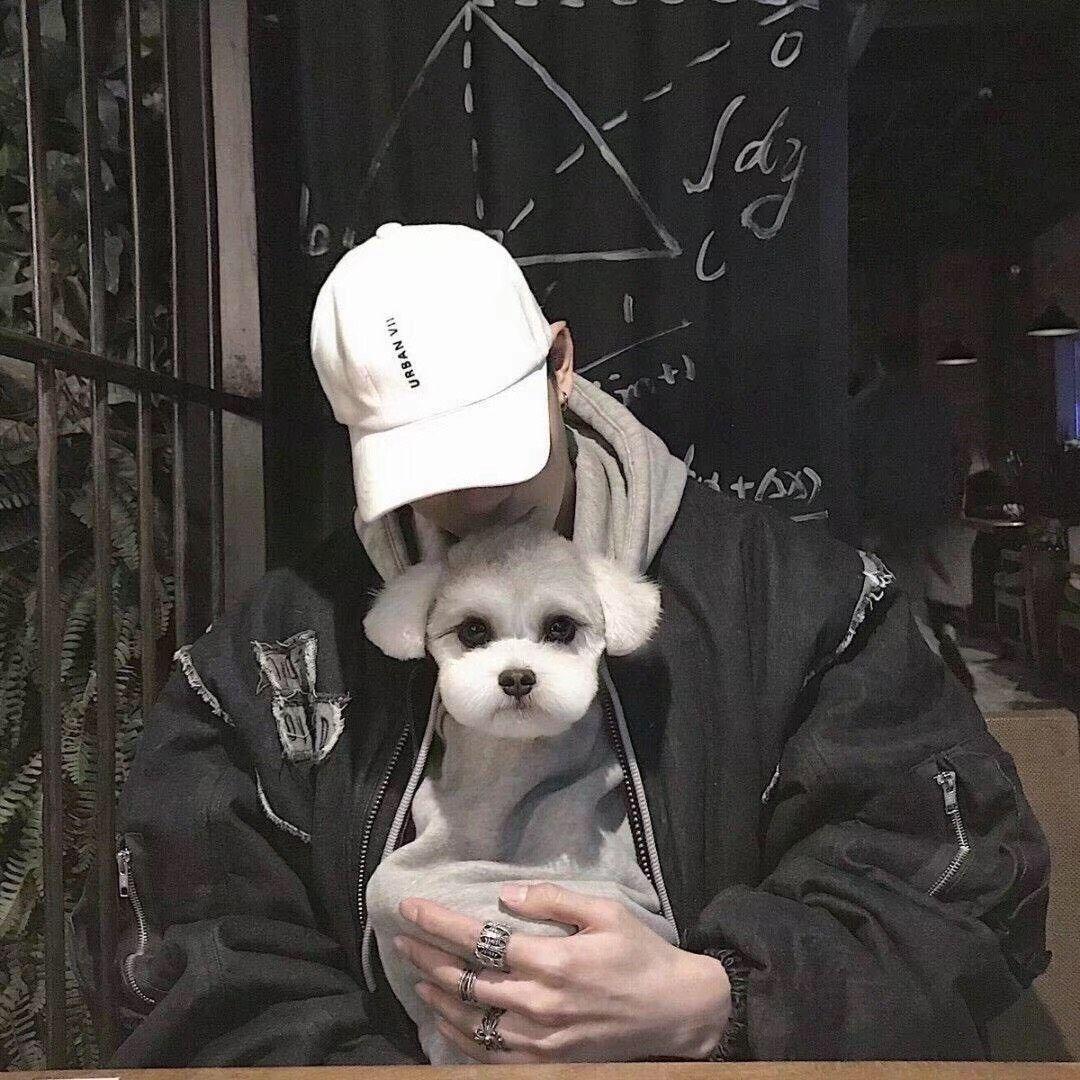 秋殇别恋