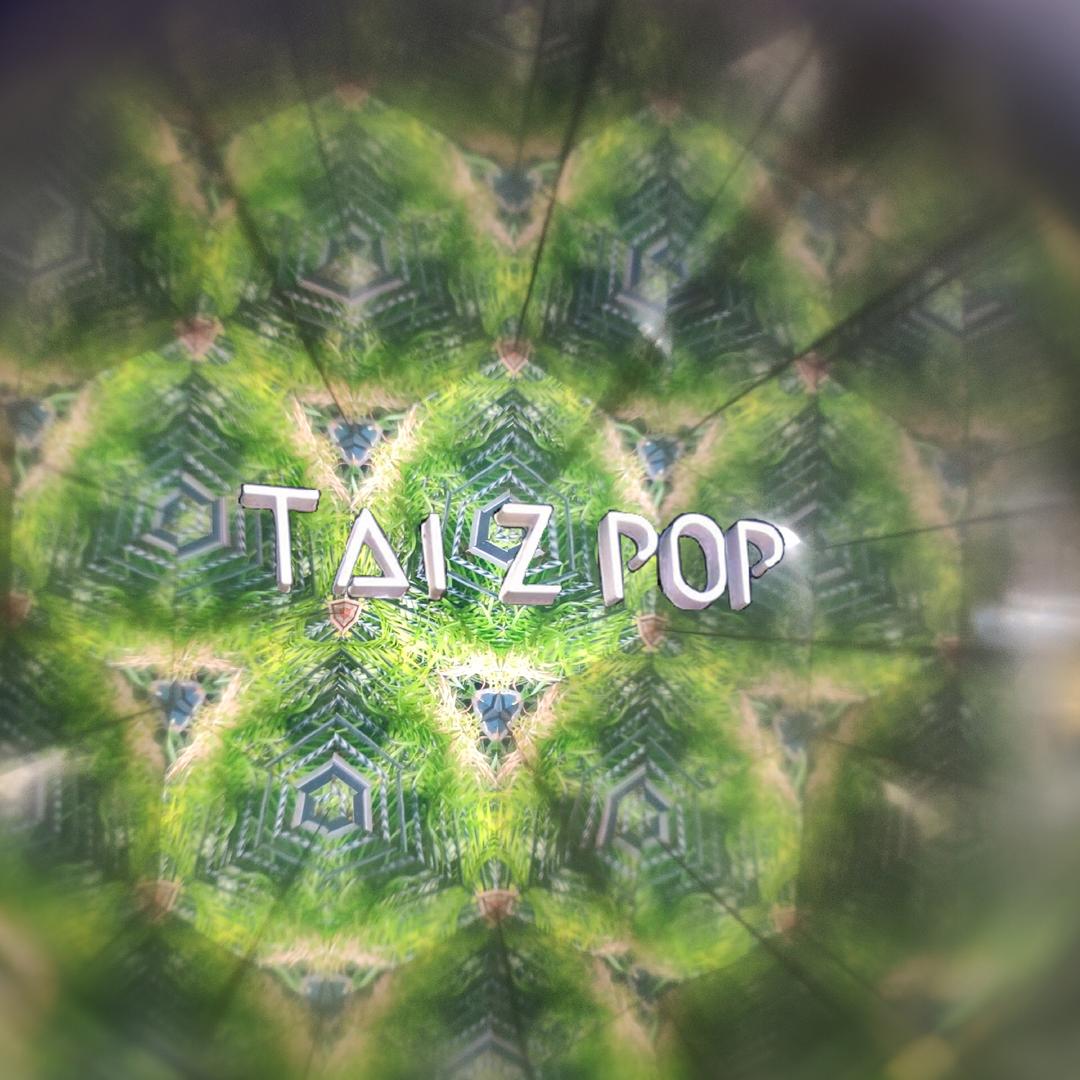 TaiZPop·大乱滑板店（泰州店）