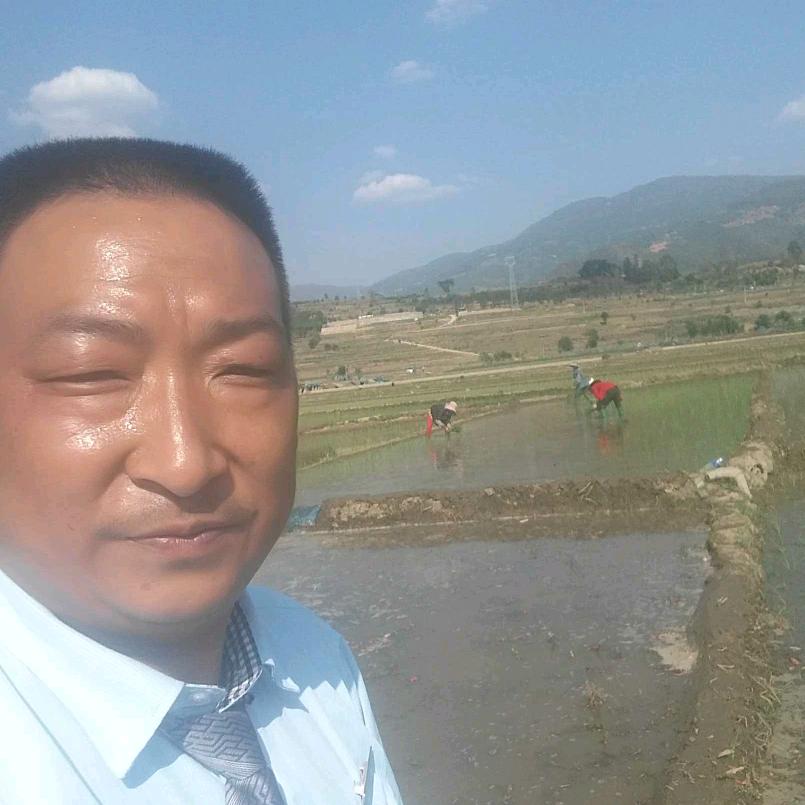 王哥