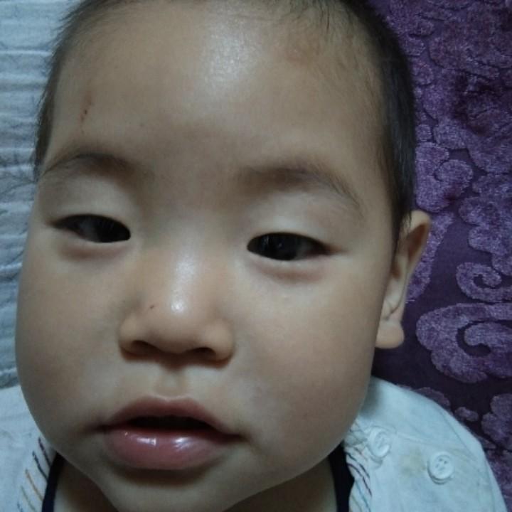 刘家小囡