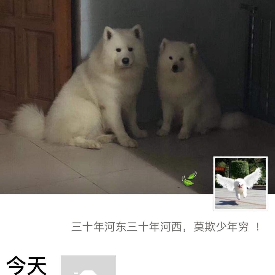 多摸可拉萨摩
