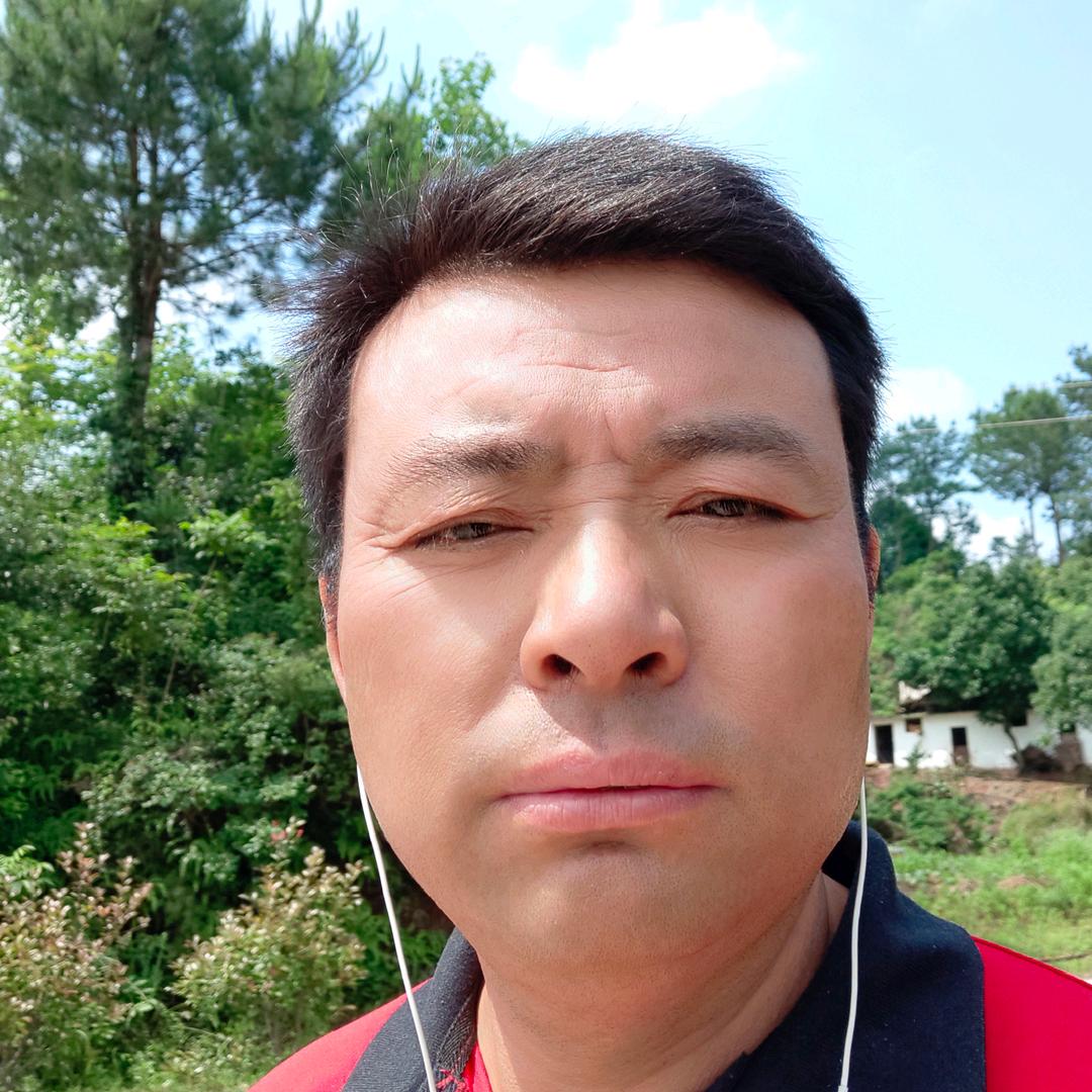 晏文林