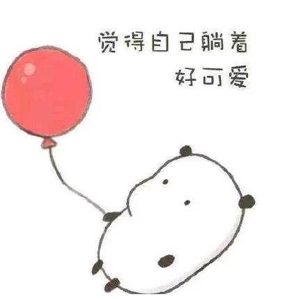 我是你的小呆呆