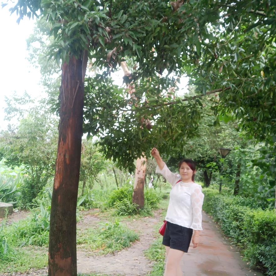 容容