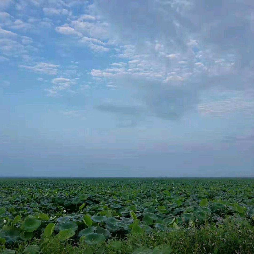 雨后的彩虹