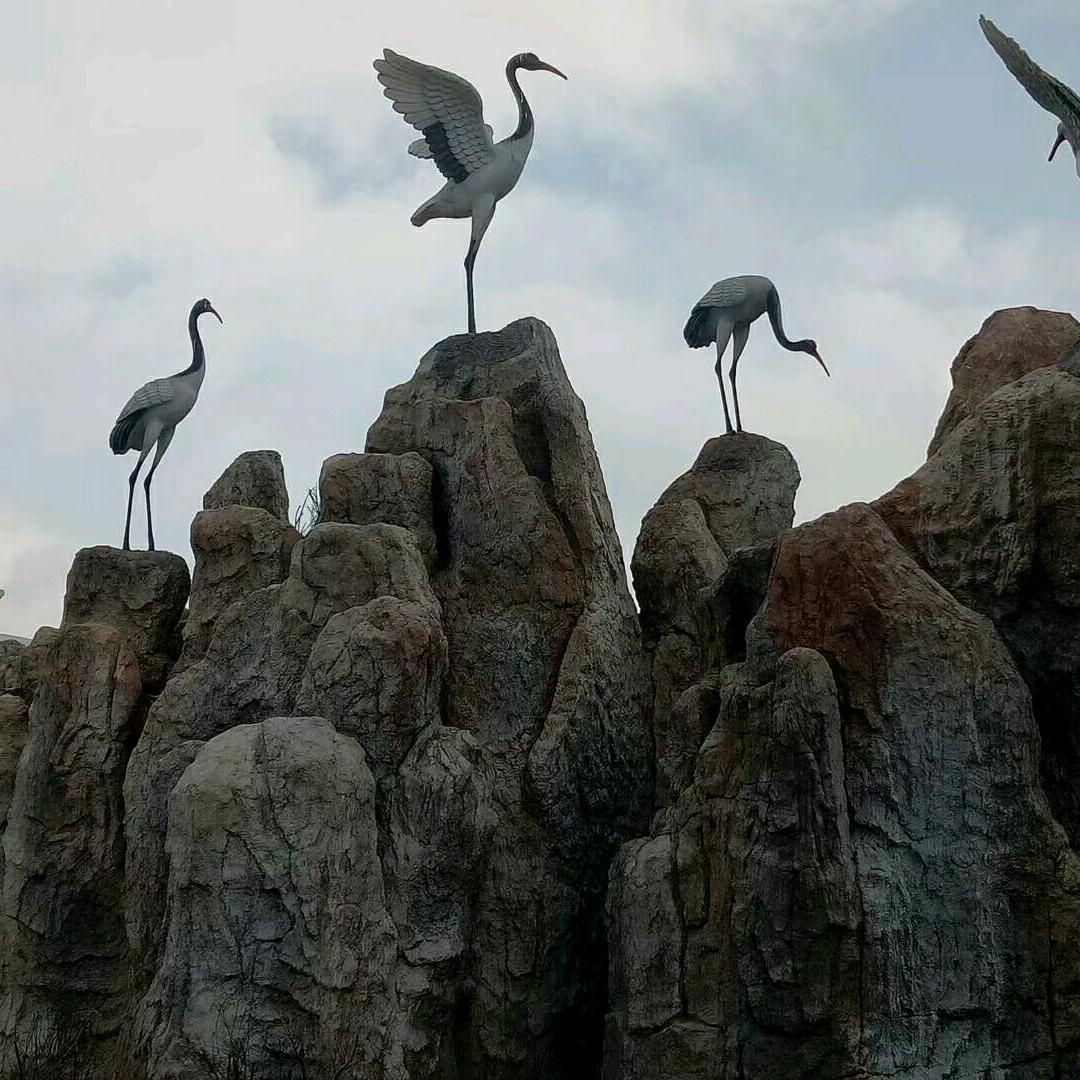 海