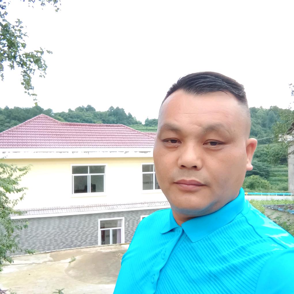 龙哥