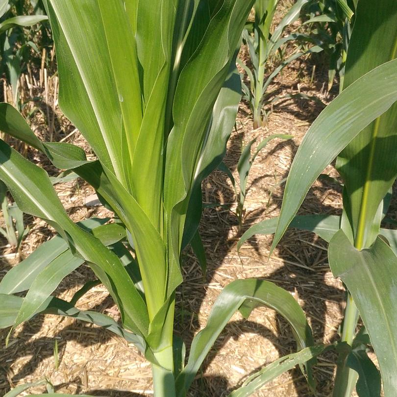 用户5758627097170明天会更好