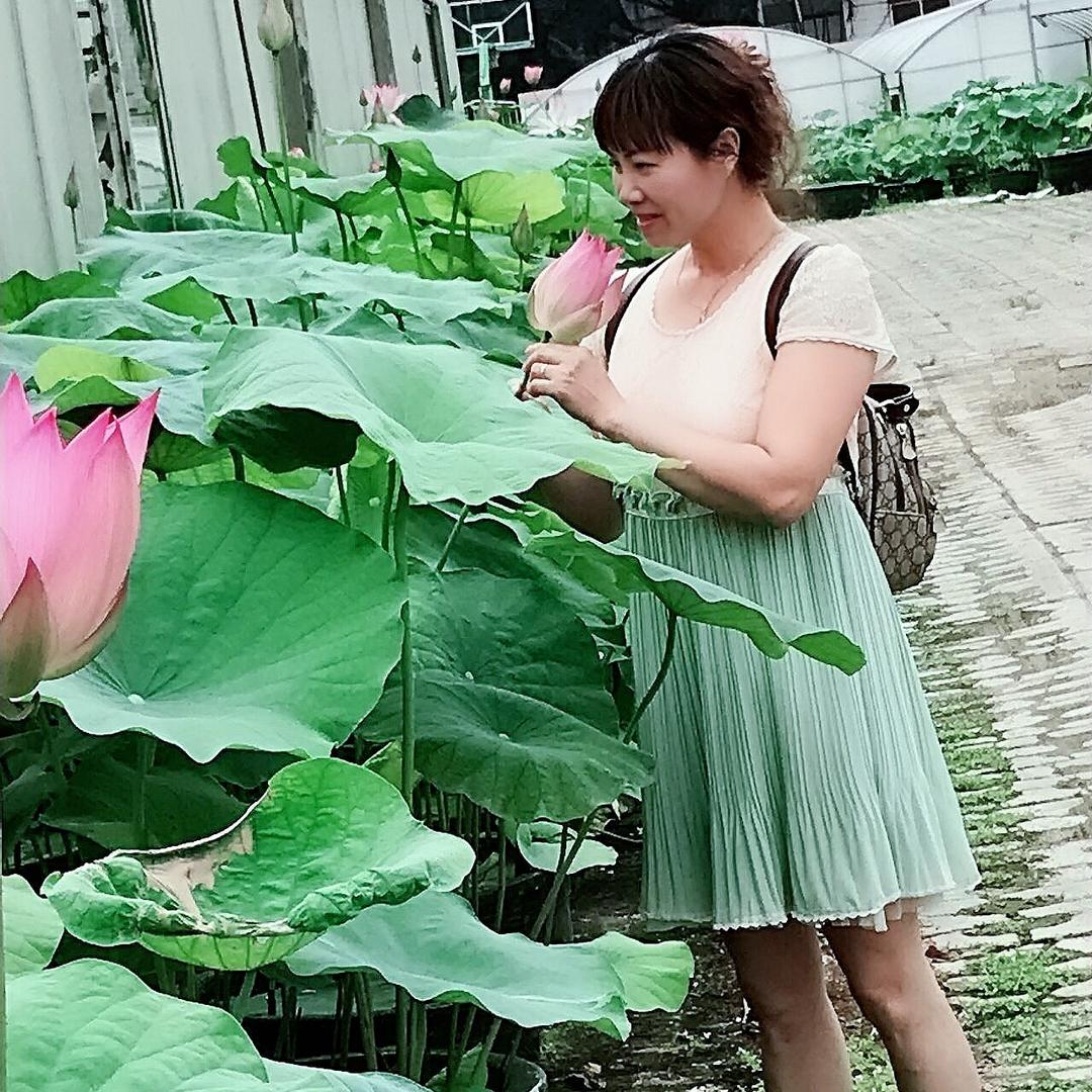 缘缘不尽