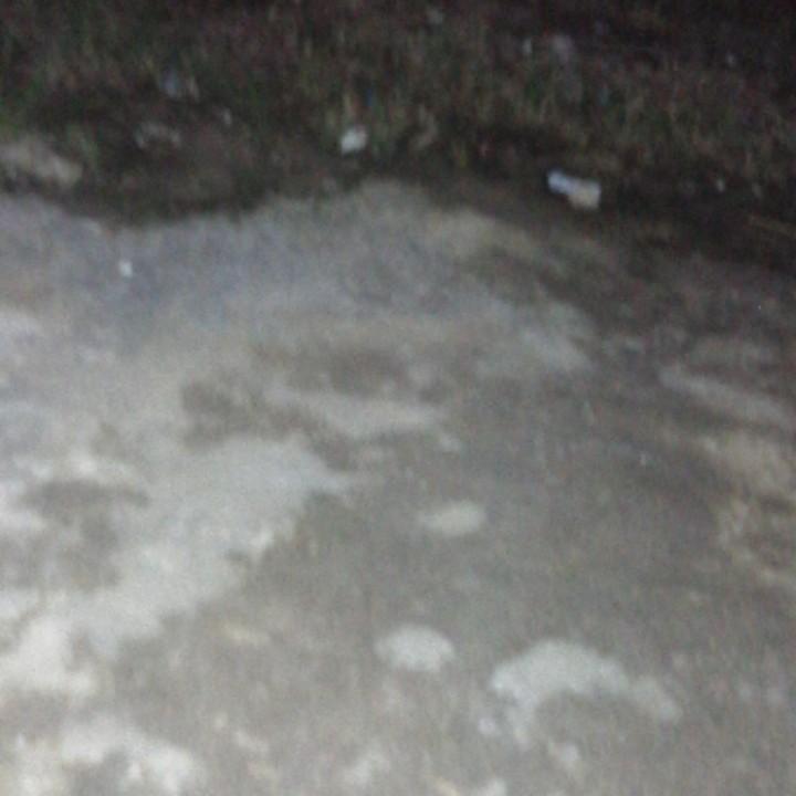 开心快乐每一天