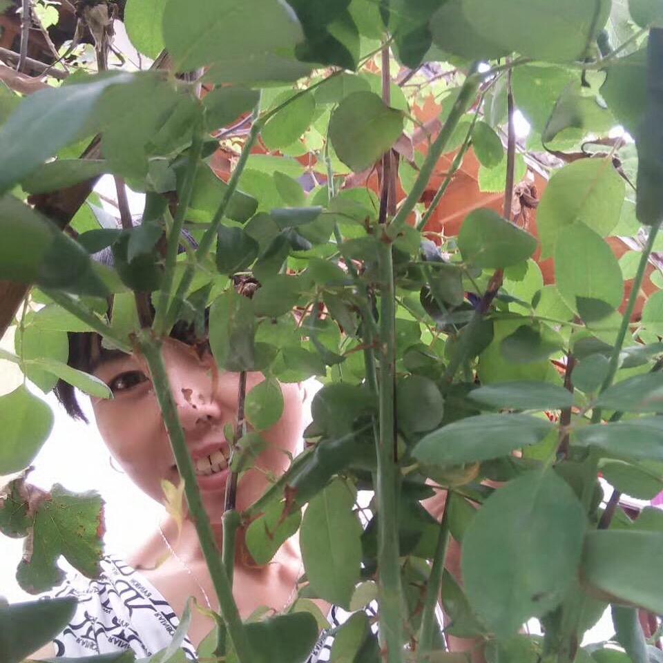 用户一帆风顺