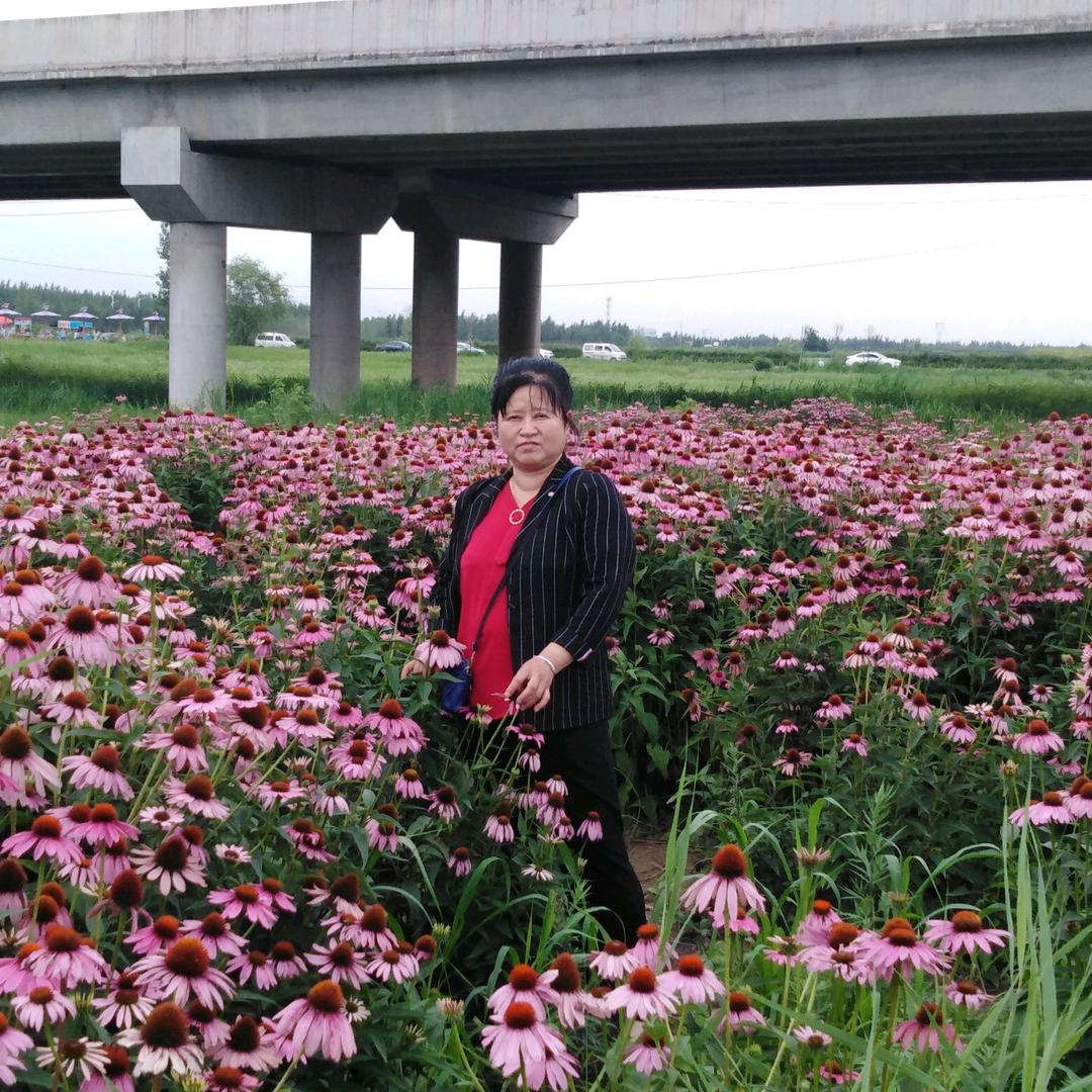 兰花花