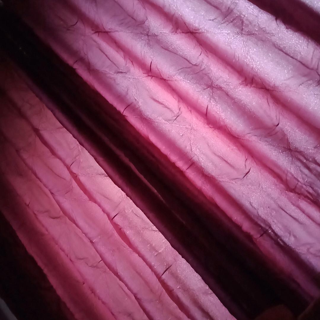 孤独的狼是一颗小小的石头