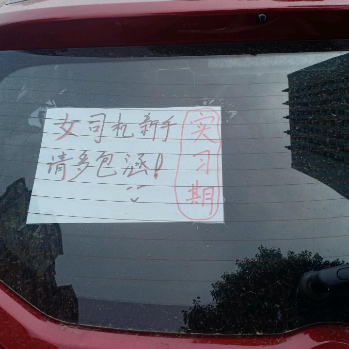 97566242392