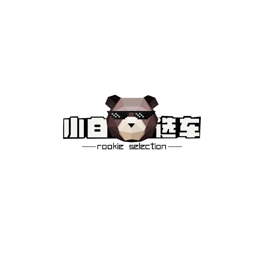 小白选车